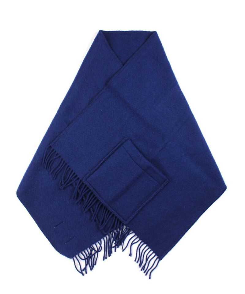 ブルーベリー(35)