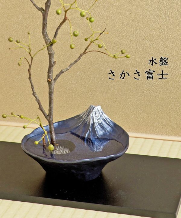 000000045551-01-l.jpg?t=