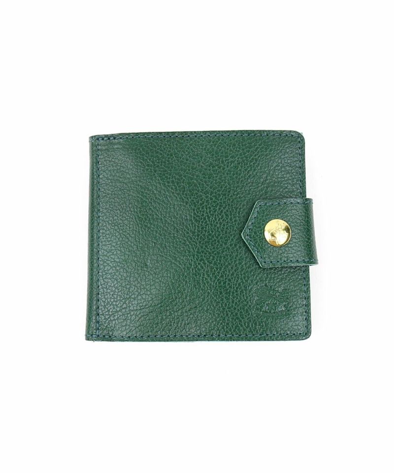 ビリジアングリーン(93)