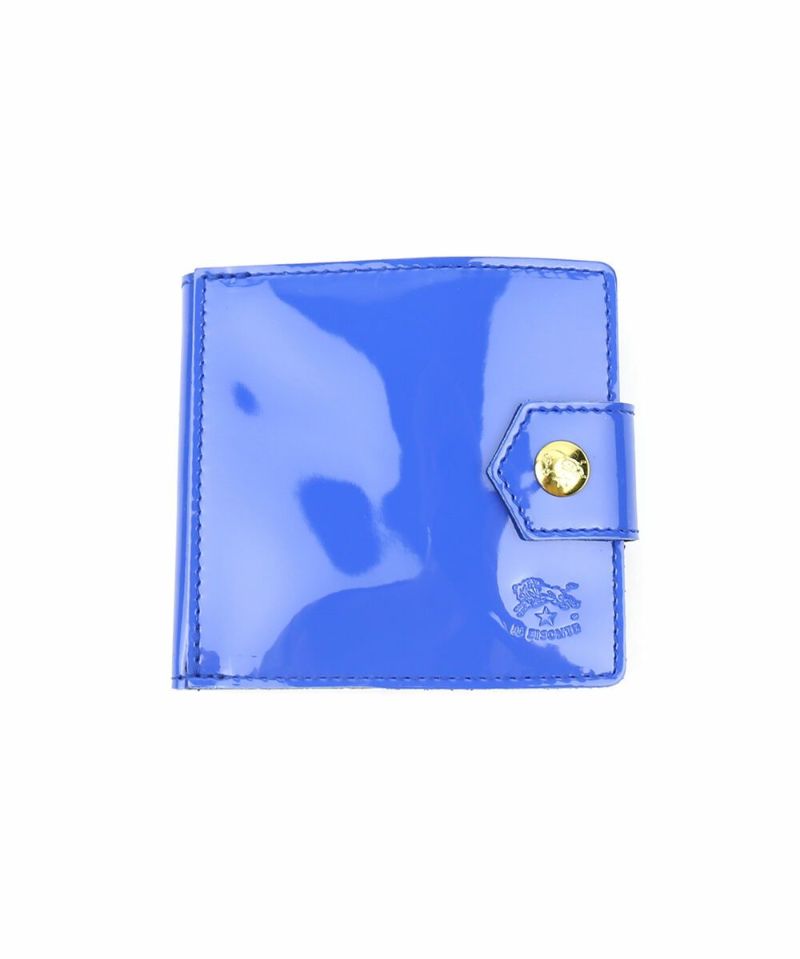 ブルーマリノ(34)