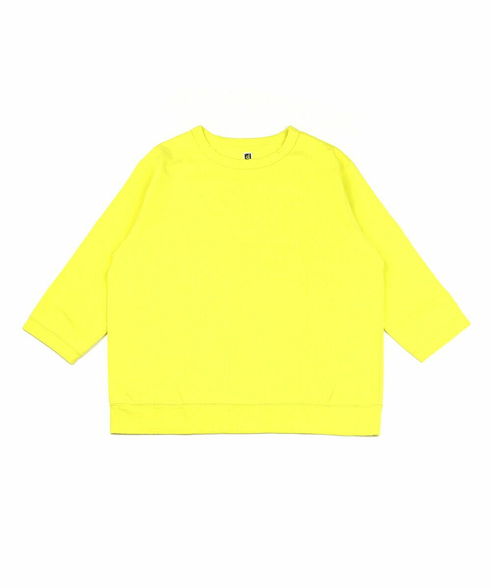 レモン(51)