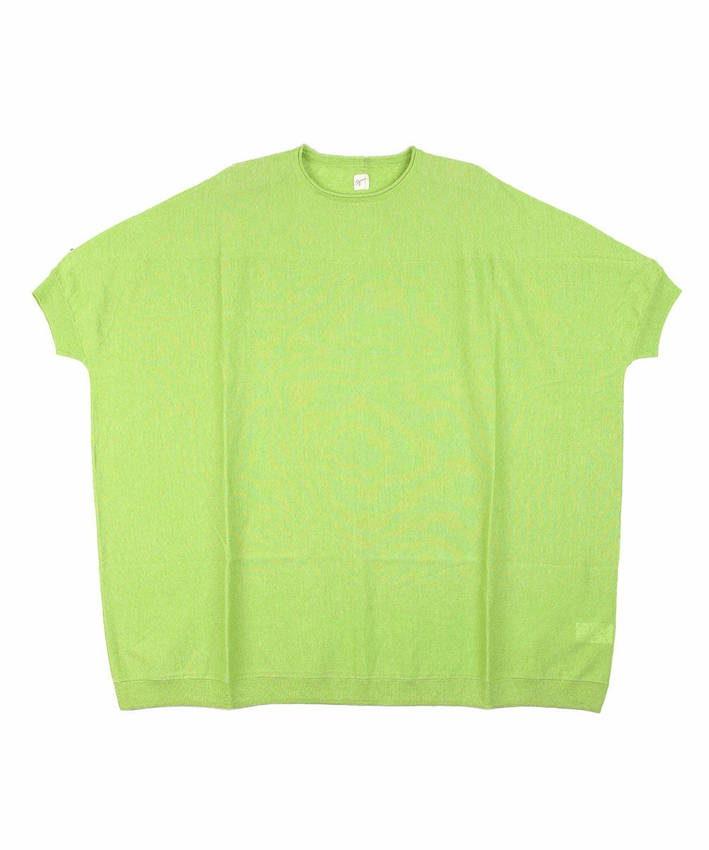 エバーグリーン(520)