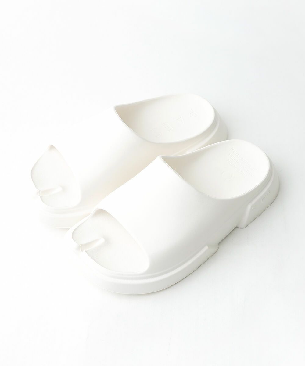 WHITE(WHT)