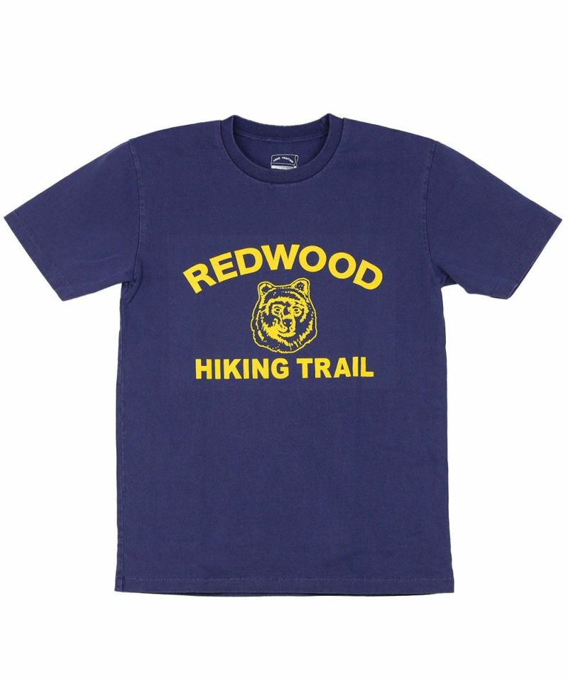 ナイトオーシャン(NOCE)