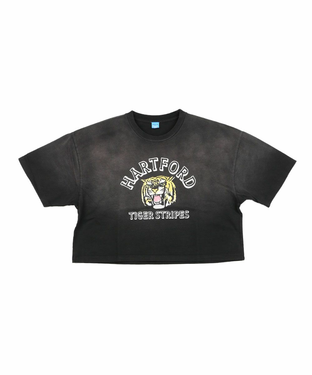 ブラックC(C-BLK)