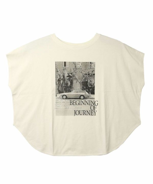 アイボリー(IVO)