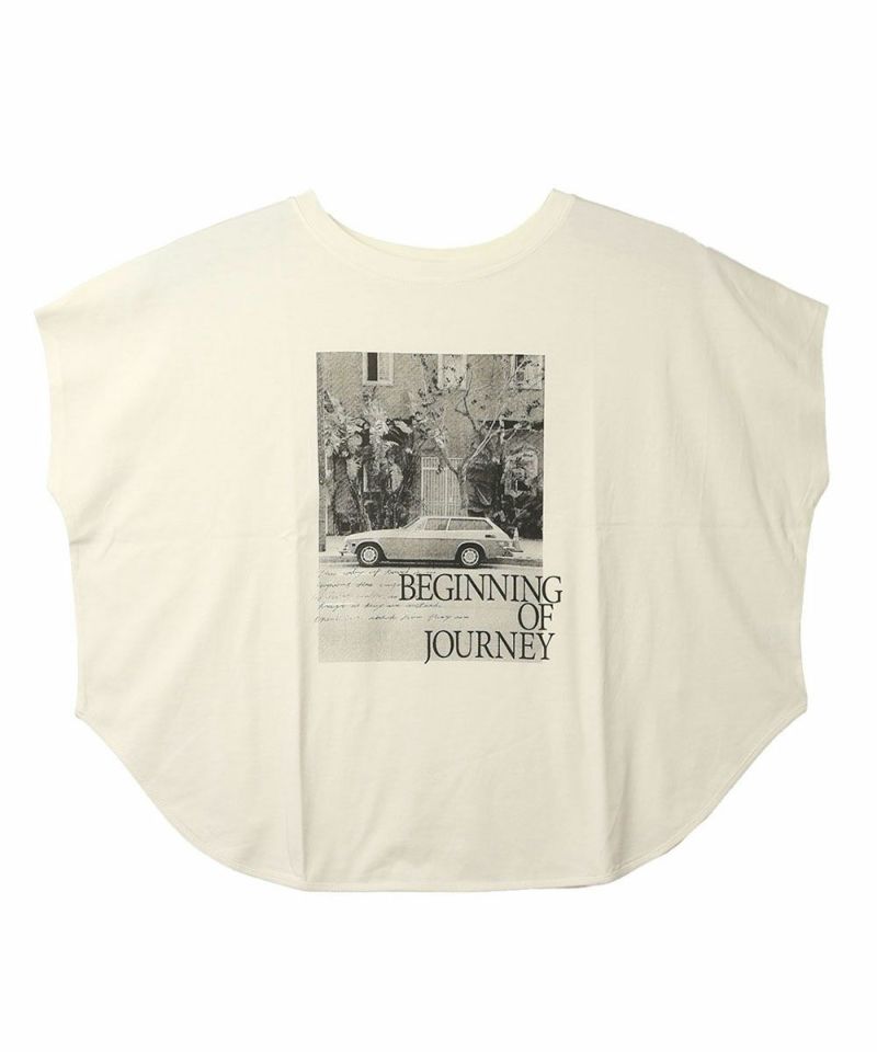 アイボリー(IVO)