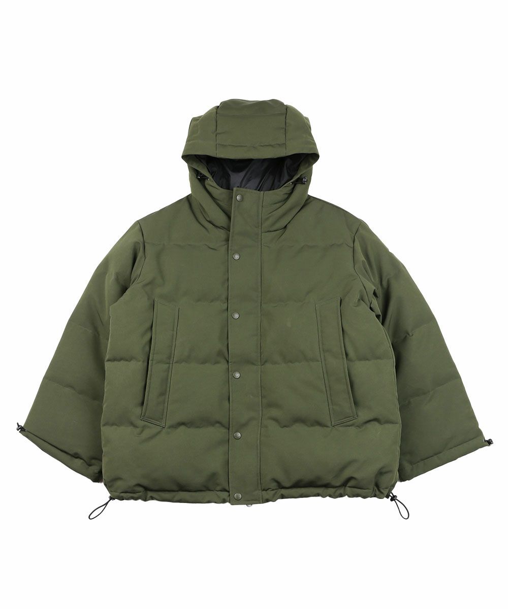 OLIVE(OLV)