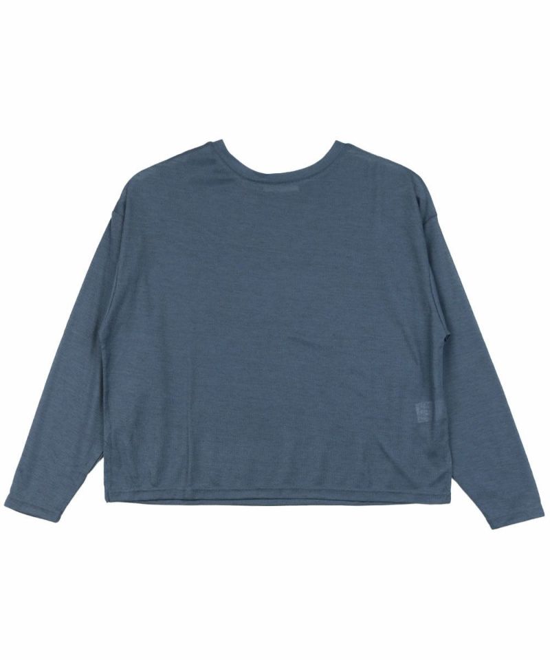 インディゴ(IND)