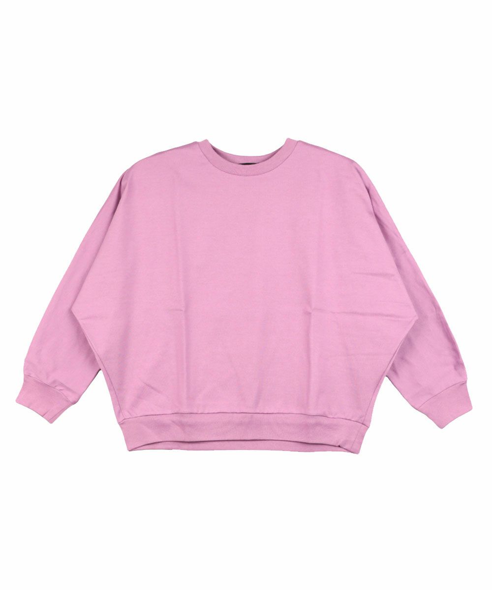 ラベンダー(82)