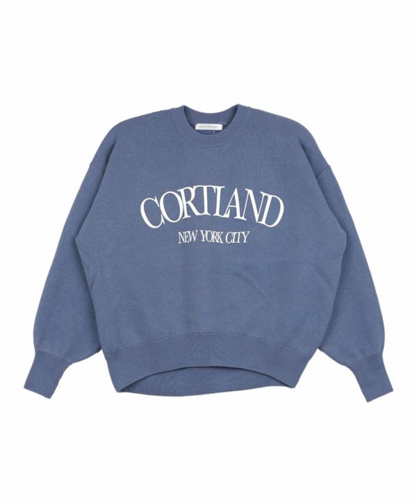 グレーブルー(17)