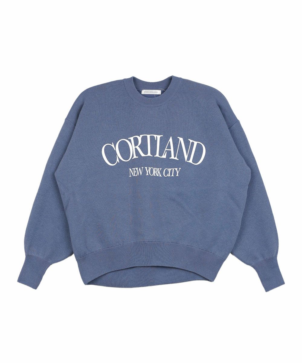 グレーブルー(17)