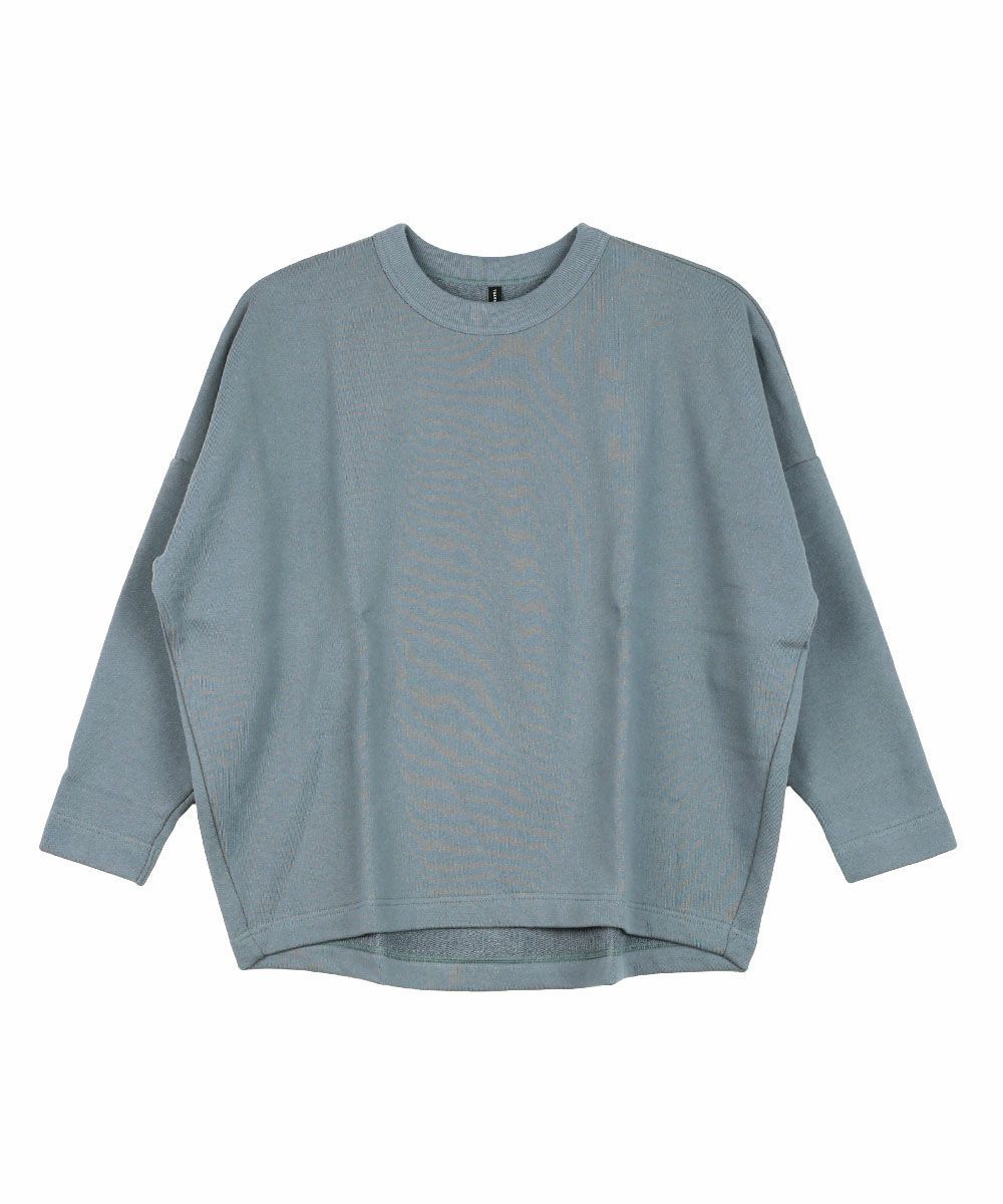 ブルーグレー(73)