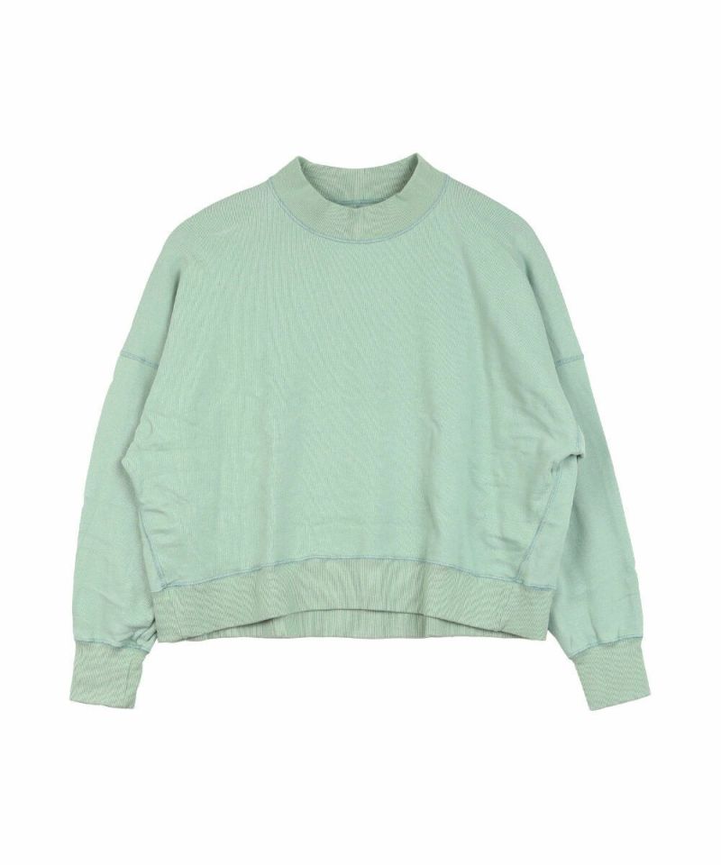 ウォーターグリーン(520)