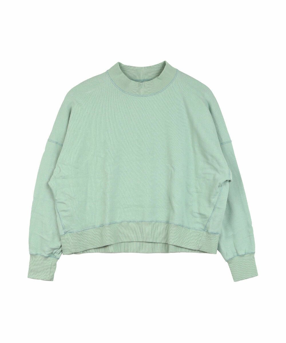 ウォーターグリーン(520)