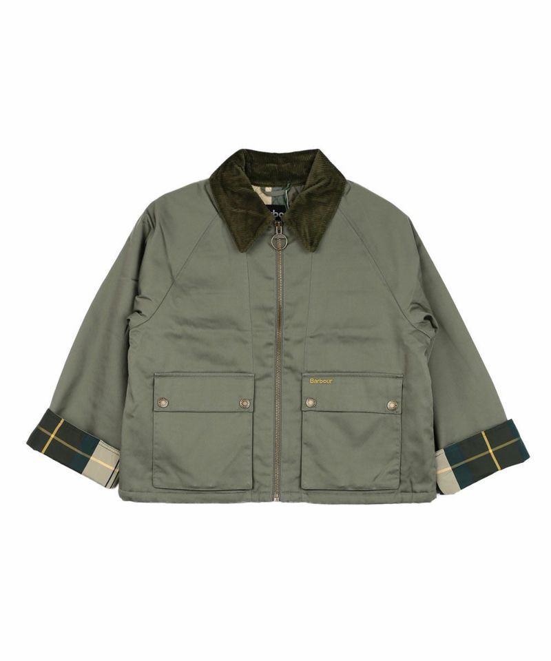 ダスキーカーキ(DKHA)