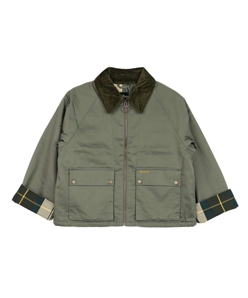 ダスキーカーキ(DKHA)