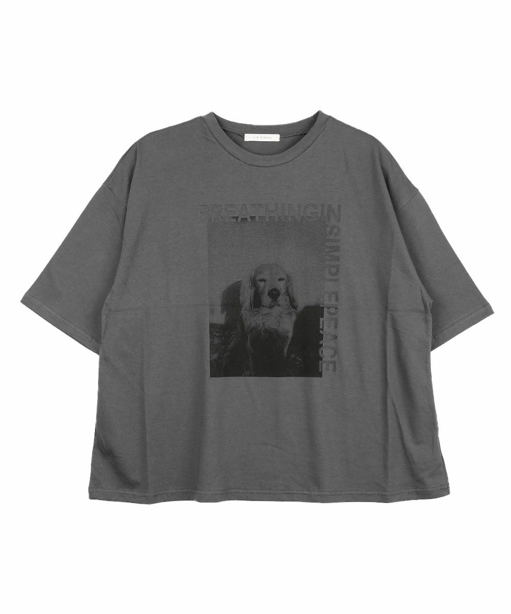 チャコール(CHA)