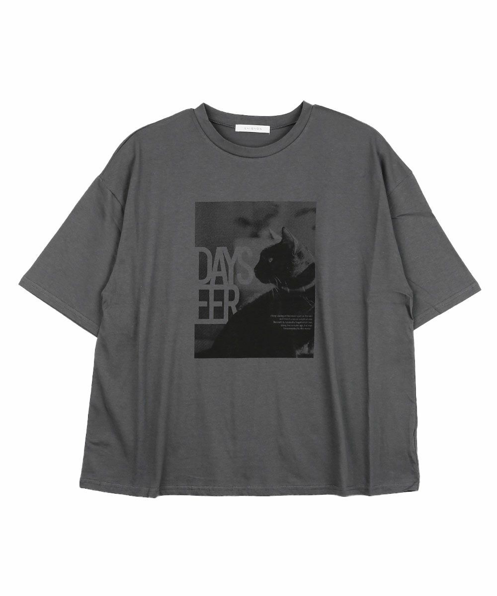 チャコール(CHA)