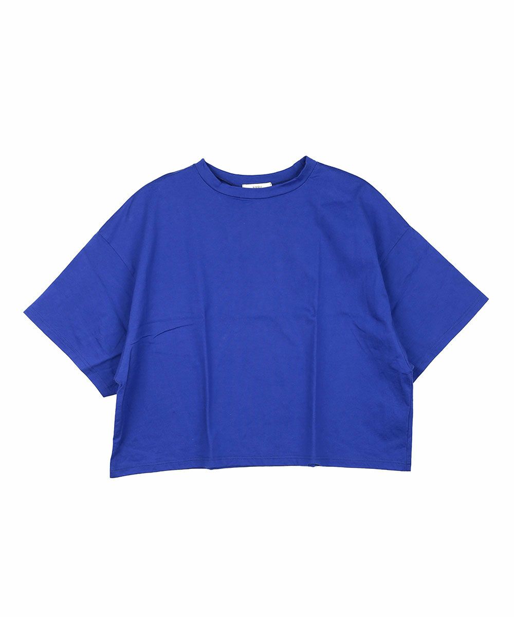 ポーセリンブルー(76)